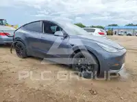 2021 Tesla Model Y photo