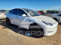 2021 Tesla Model Y фото
