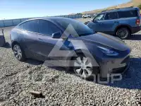 2021 Tesla Model Y фото