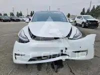 2021 Tesla Model Y photo