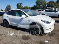 2021 Tesla Model Y photo