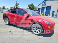 2021 Tesla Model Y photo