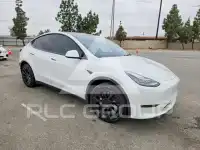 2021 Tesla Model Y photo