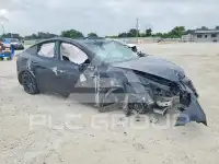 2021 Tesla Model Y фото
