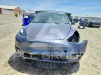 2021 Tesla Model Y photo