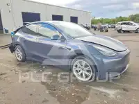 2021 Tesla Model Y фото