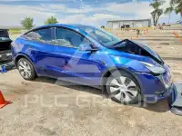 2021 Tesla Model Y photo
