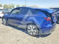 2021 Tesla Model Y фото