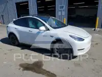 2021 Tesla Model Y фото