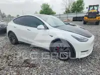 2021 Tesla Model Y фото