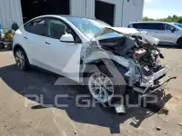 2021 Tesla Model Y photo