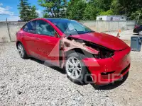 2021 Tesla Model Y фото