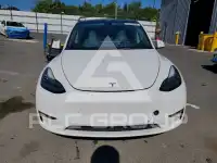 2021 Tesla Model Y фото