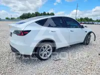 2021 Tesla Model Y photo