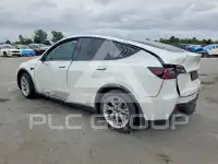 2021 Tesla Model Y photo