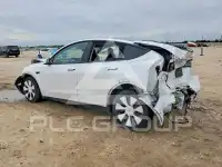 2021 Tesla Model Y photo