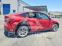 2021 Tesla Model Y photo