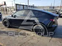 2021 Tesla Model Y photo
