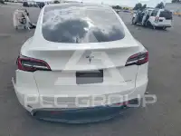 2021 Tesla Model Y photo