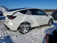 2021 Tesla Model Y фото