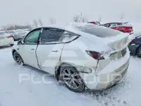 2021 Tesla Model Y photo