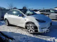 2021 Tesla Model Y фото