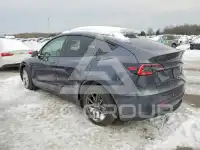 2021 Tesla Model Y photo