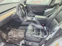 2021 Tesla Model Y photo