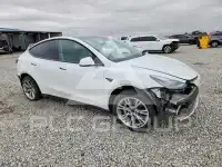 2021 Tesla Model Y фото
