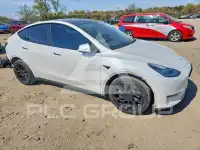 2021 Tesla Model Y photo