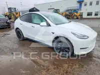 2021 Tesla Model Y фото