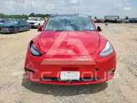 2021 Tesla Model Y photo