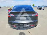 2021 Tesla Model Y фото