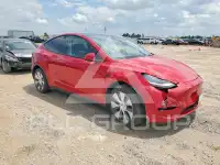 2021 Tesla Model Y photo