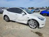 2021 Tesla Model Y фото