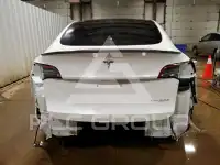 2021 Tesla Model Y photo