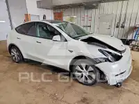 2021 Tesla Model Y photo