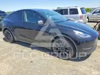 2021 Tesla Model Y photo