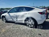 2021 Tesla Model Y фото