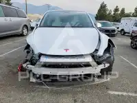 2021 Tesla Model Y фото