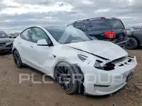 2021 Tesla Model Y фото