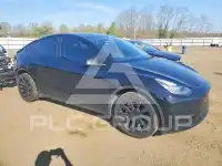 2021 Tesla Model Y photo