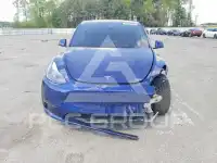 2021 Tesla Model Y photo