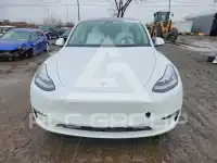 2021 Tesla Model Y фото