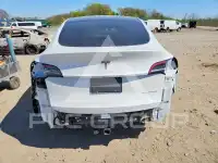 2021 Tesla Model Y photo