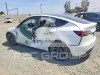 2021 Tesla Model Y фото