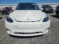 2021 Tesla Model Y фото