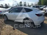 2021 Tesla Model Y фото