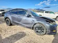 2021 Tesla Model Y photo