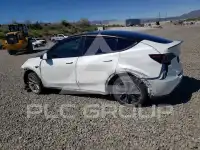 2021 Tesla Model Y фото